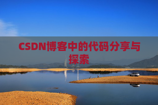 CSDN博客中的代码分享与探索